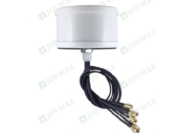 Product006
