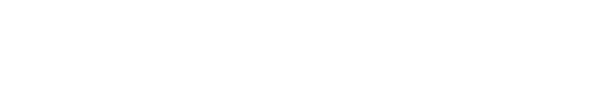 SYNESYS TECHNOLOGIES GROUP